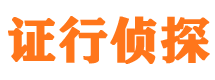 广东市调查公司